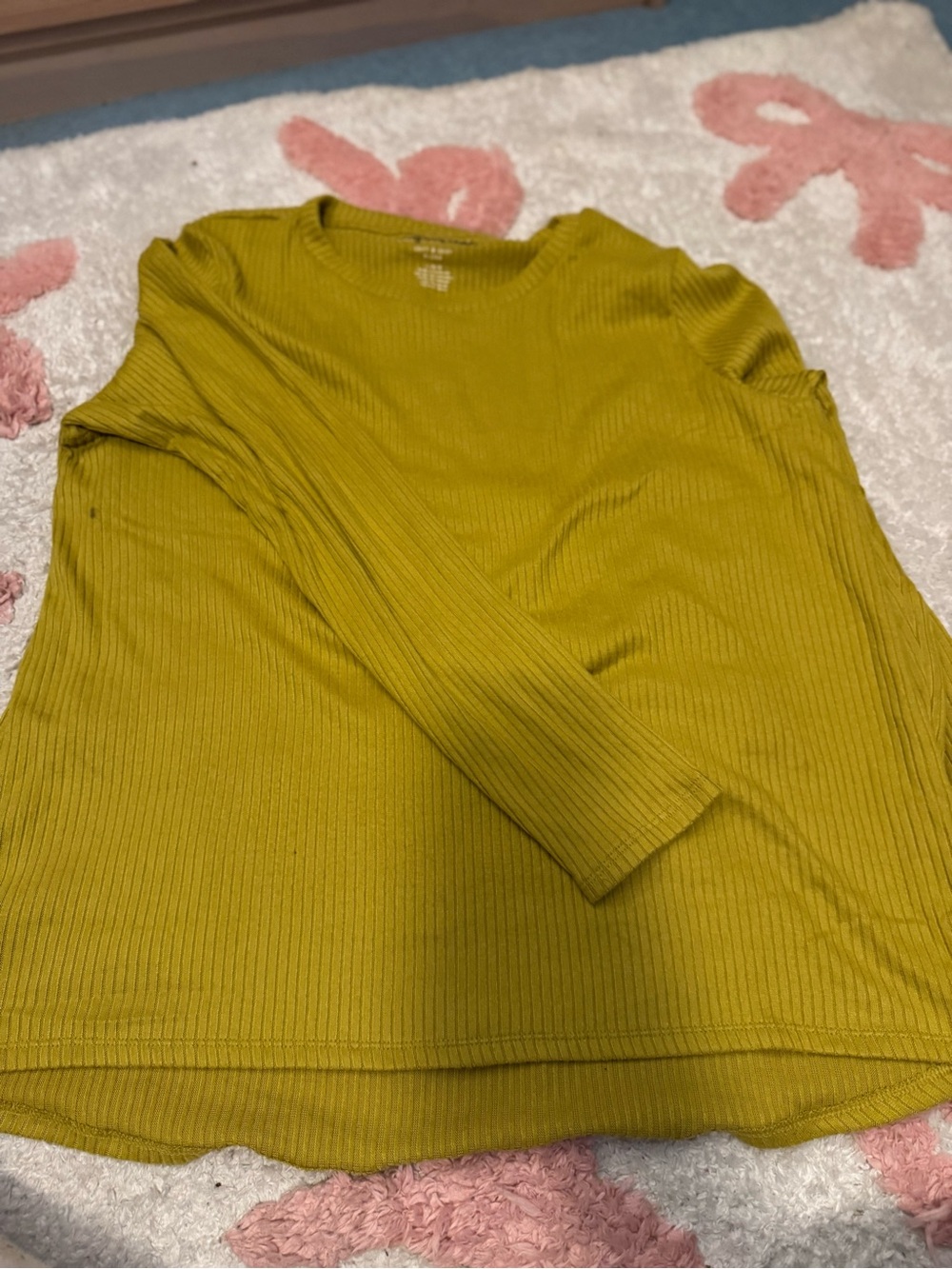 American Eagle Outfitters Ribbed Long Sleeve Top in Olive Green